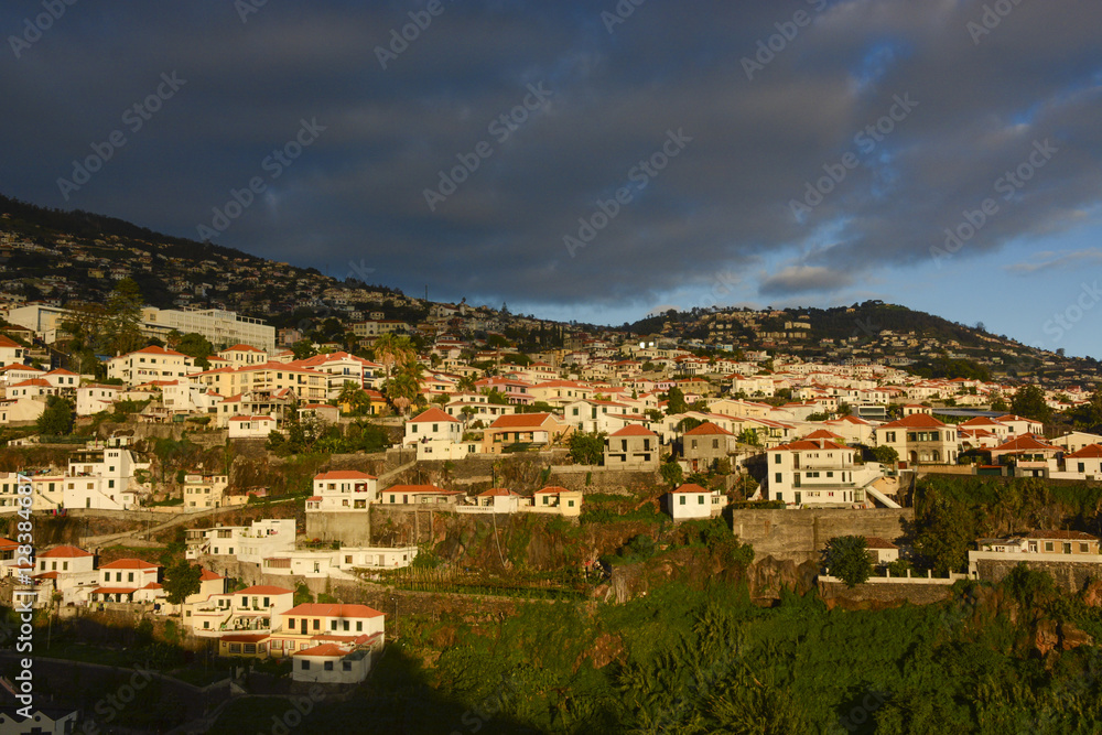 Cityscape of Funchal, Madeira island Portugal