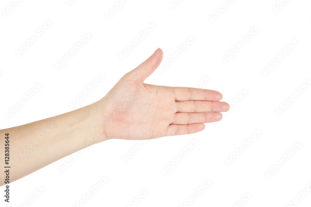 Hand of women on a white background. Isolated. Hand of women on a white background. Isolated.