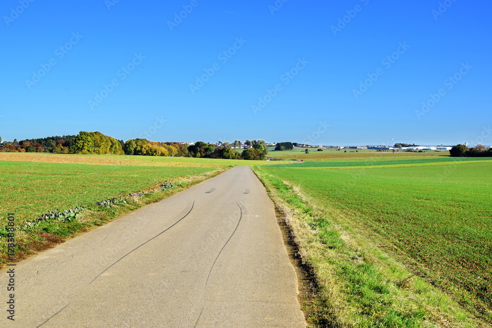 Green field on sunny day with blue sky