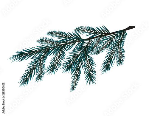 Blue realistic branch of fir tree. Fir branches. Isolated on white. Christmas illustration