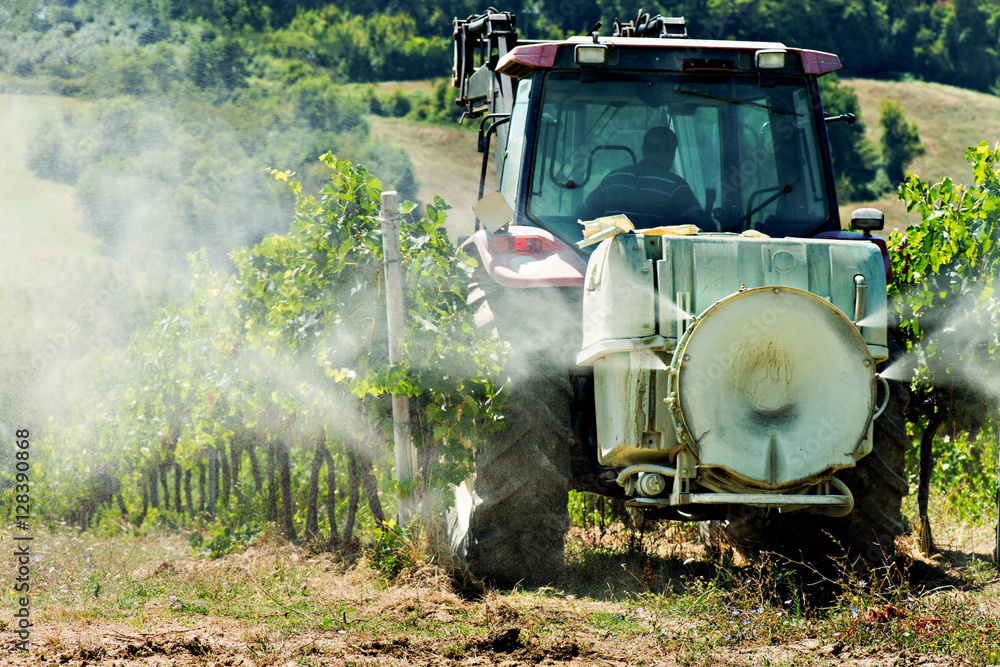 Naklejka premium tractor spraying weed killer in a vineyard