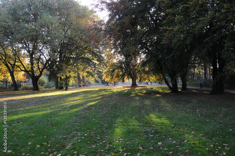 Obraz premium Herbststimmung im Park