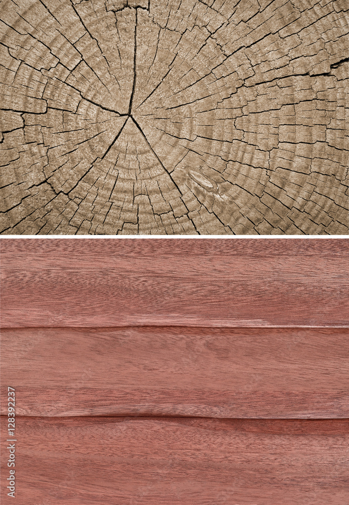 Fototapeta premium Wood texture. Lining boards wall. Wooden background. pattern. Showing growth rings. set