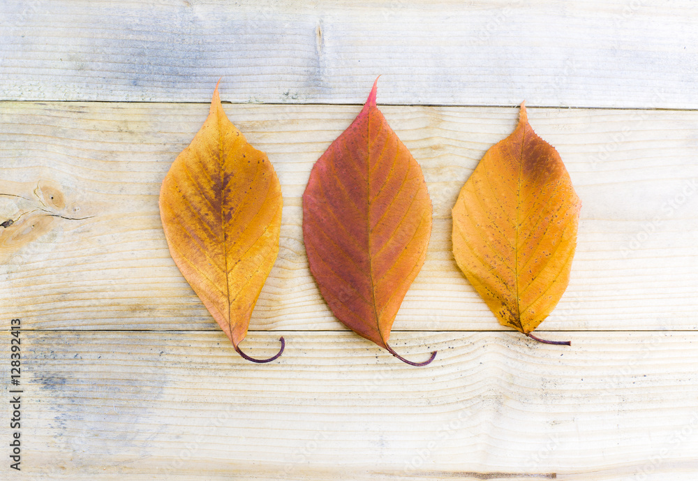 Autumn fall leaves on rustic wooden table as sale email backgrou Autumn fall leaves on rustic wooden table as sale email backgrou