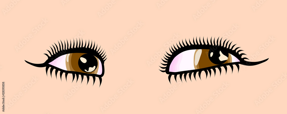 Female cartoon style detailed brown eyes. Vector illustration Female cartoon style detailed brown eyes. Vector illustration
