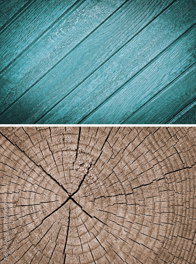 Fototapeta premium Wood texture. Lining boards wall. Wooden background pattern. Showing growth rings. set