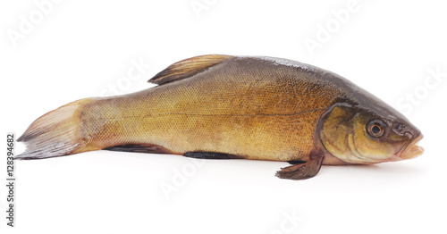 Obraz na płótnie Big carp.