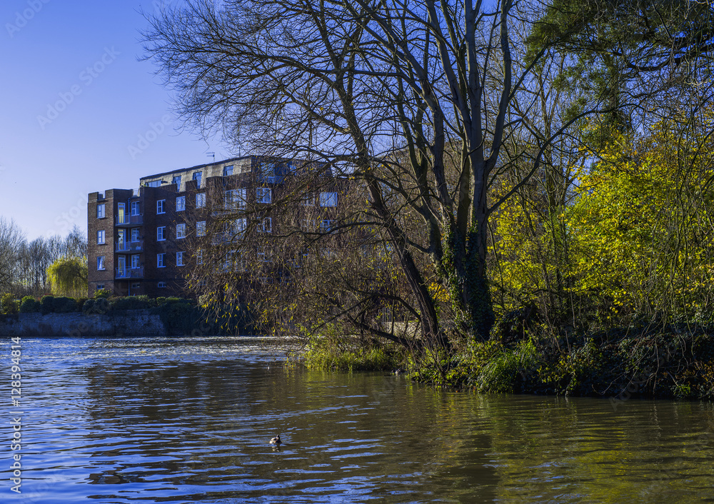 Fototapeta premium river stratford upon avon uk