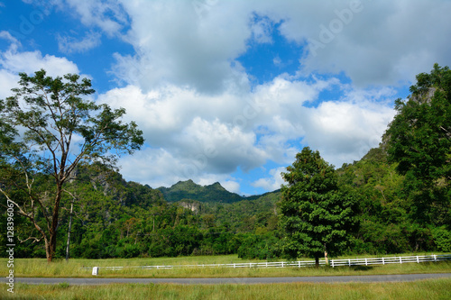 View of mountain forest tree sky cloud natural landscape with sunny.