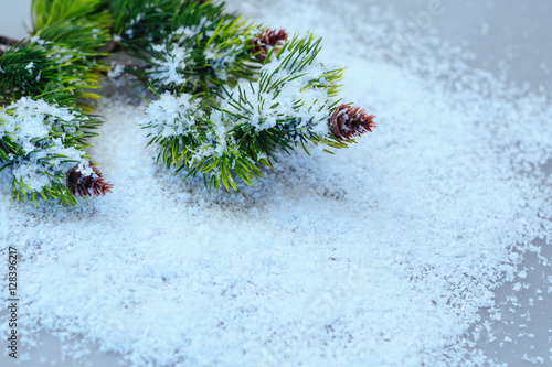 fir branches in the snow on a white background