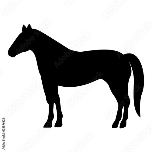 silhouette monochrome with farm horse vector illustration
