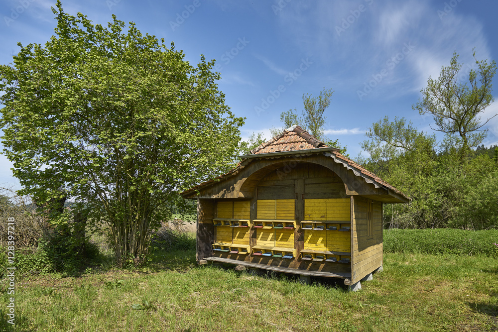Bienenhaus