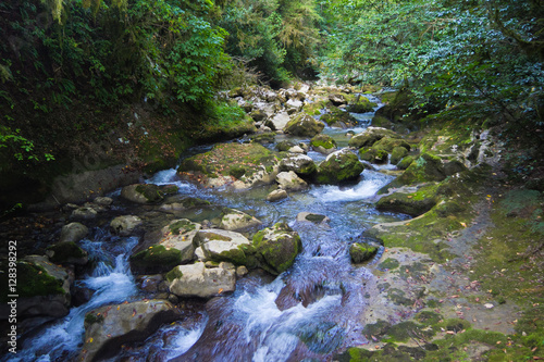Mountain river in the middle of green forest, stones covered with moss. 