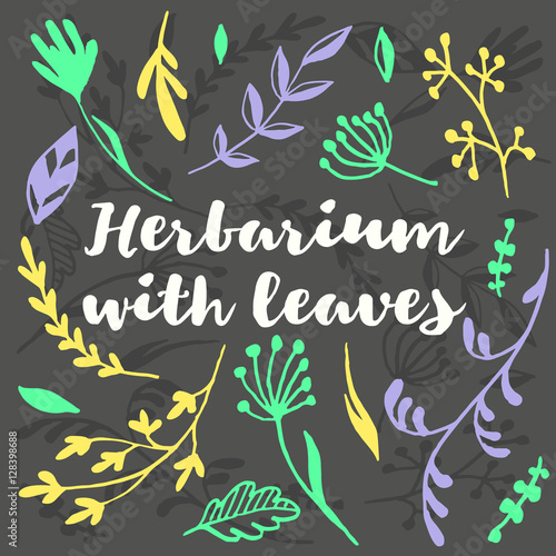 Herbarium with leaves, set of decorative vector herbs and branches, hand drawn lettering. Ink style simple illustration with botanical sketches