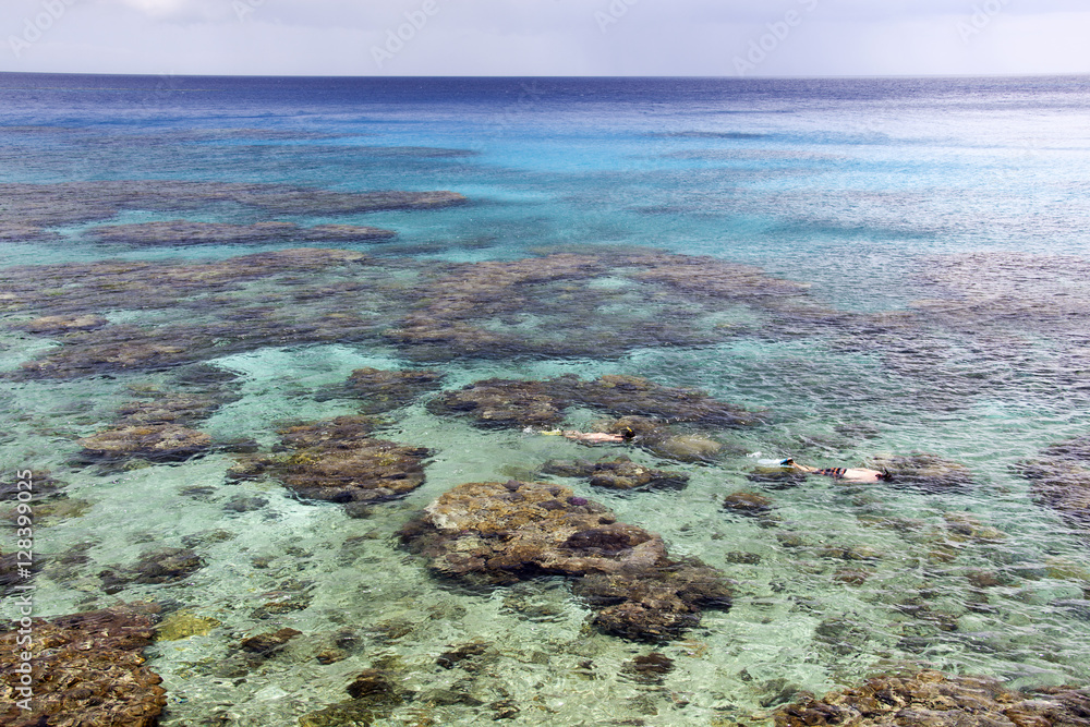 Pacific Island Snorkeling