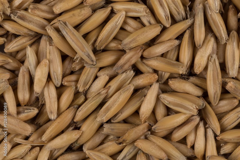 natural oat grains background, closeup natural oat grains background, closeup