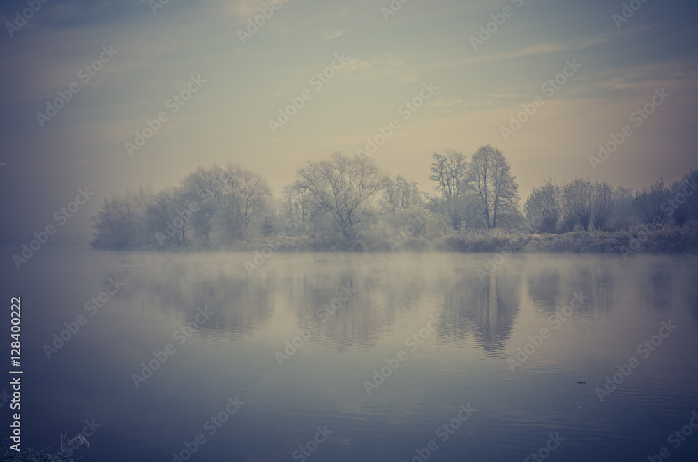 Cold morning landscape with trees over lake