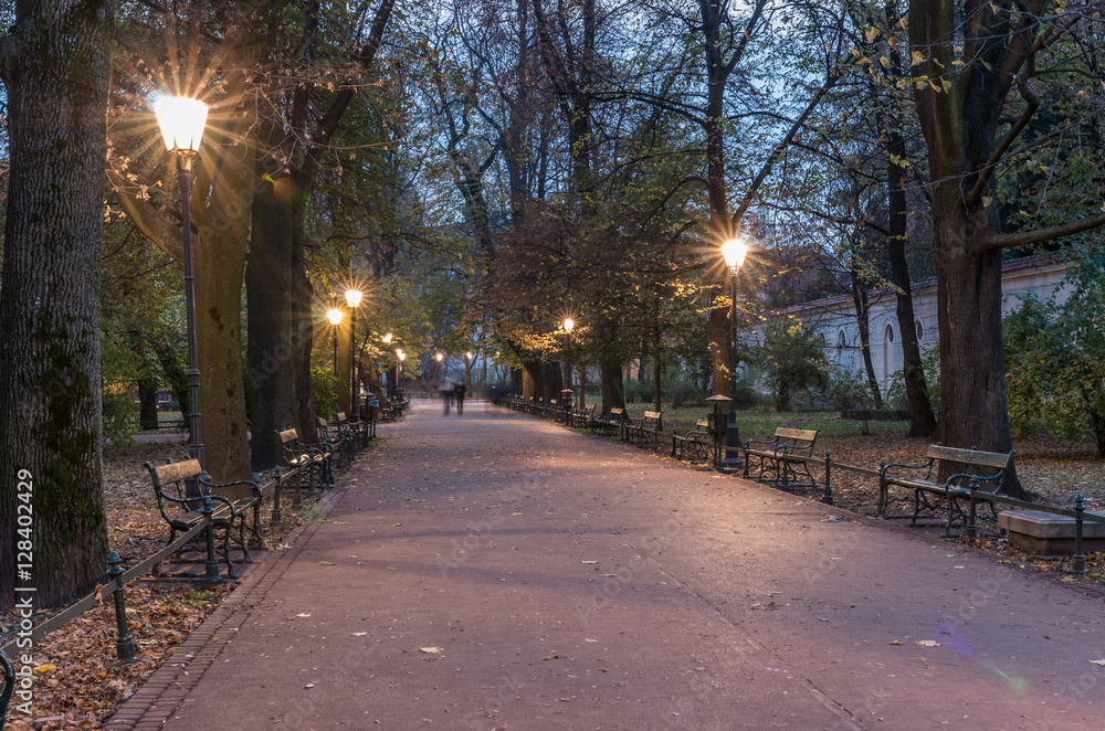 Obraz premium Planty park in the night, Krakow, Poland