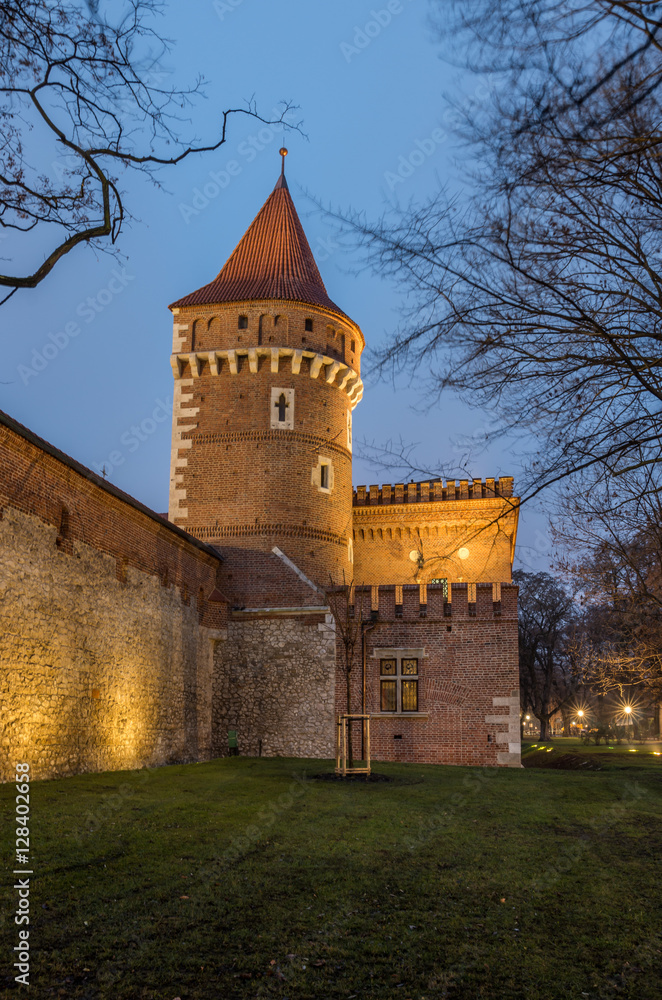 Krakow, Poland, city walls with Carpenters Tower and Arsenal