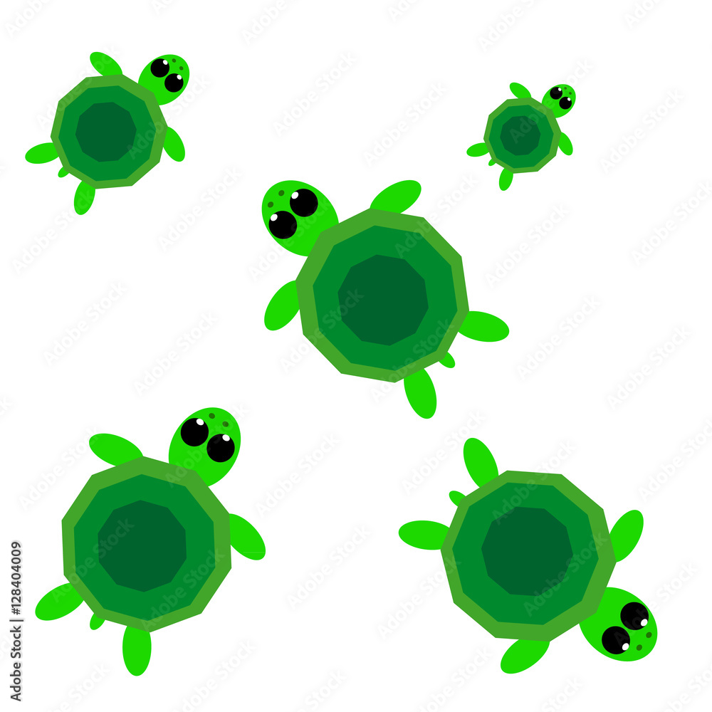 Turtles on white background Turtles on white background