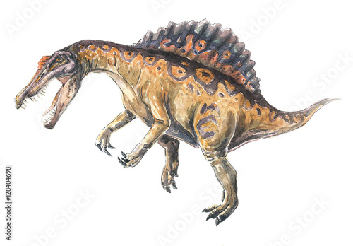 Динозавр. Спинозавр акварель. Spinosaurus. © svistoplas