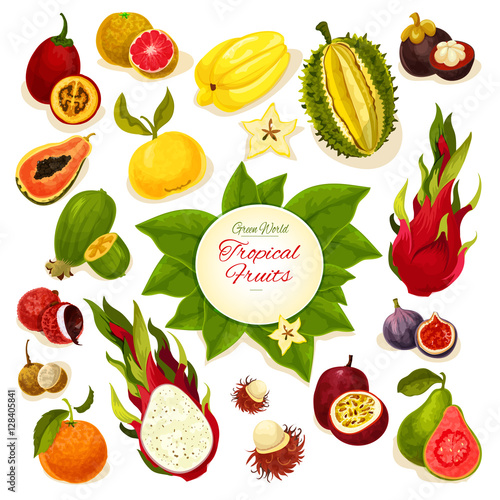 Fototapeta Naklejka Na Ścianę i Meble -  Tropical fresh fruits vector poster