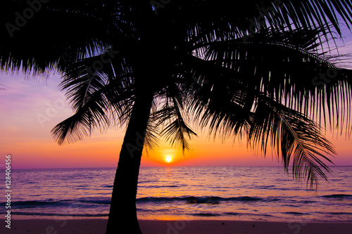 sunset landscape. beach sunset. palm trees silhouette on sunset