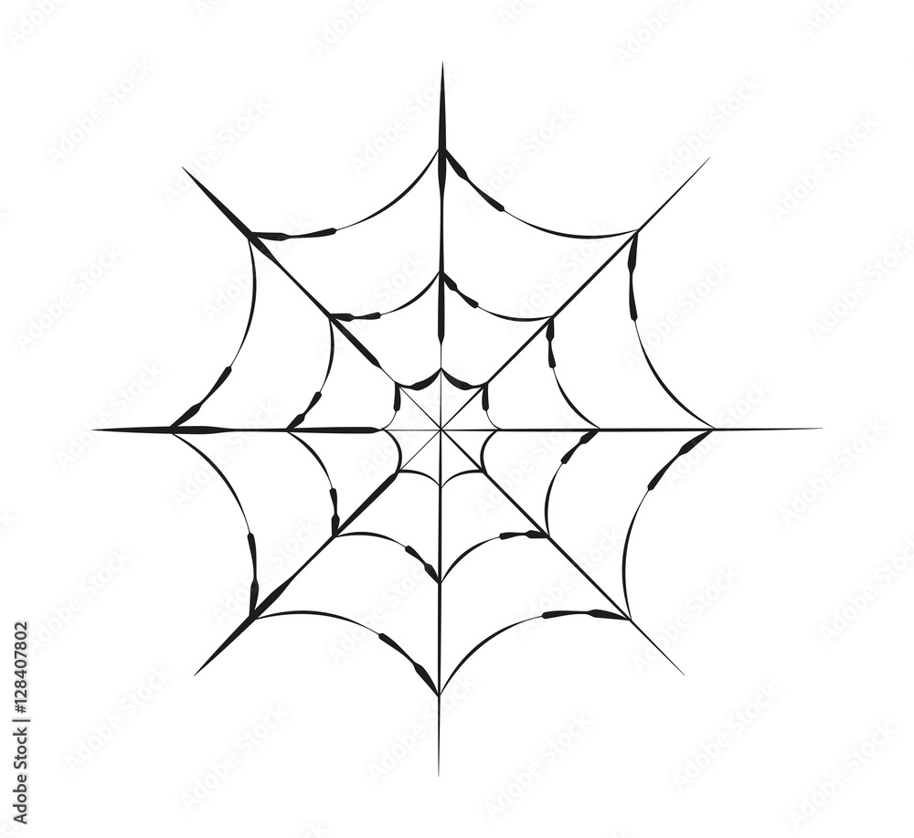 Vector illustration of a spider web isolated on white, ragnatela vettoriale Vector illustration of a spider web isolated on white, ragnatela vettoriale