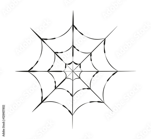 Vector illustration of a spider web isolated on white, ragnatela vettoriale