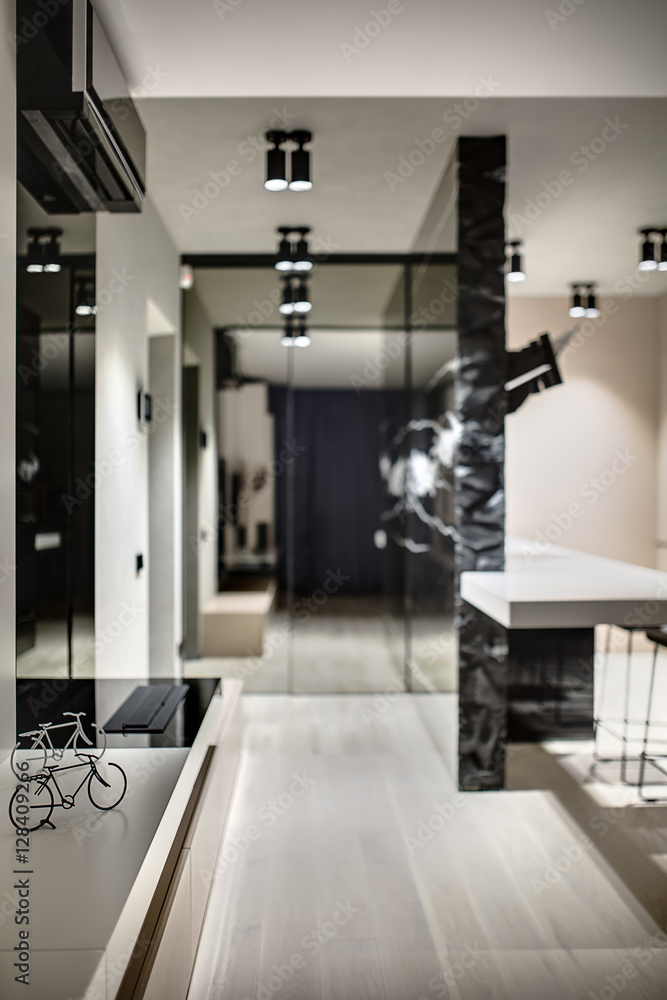 Modern style interior Modern style interior