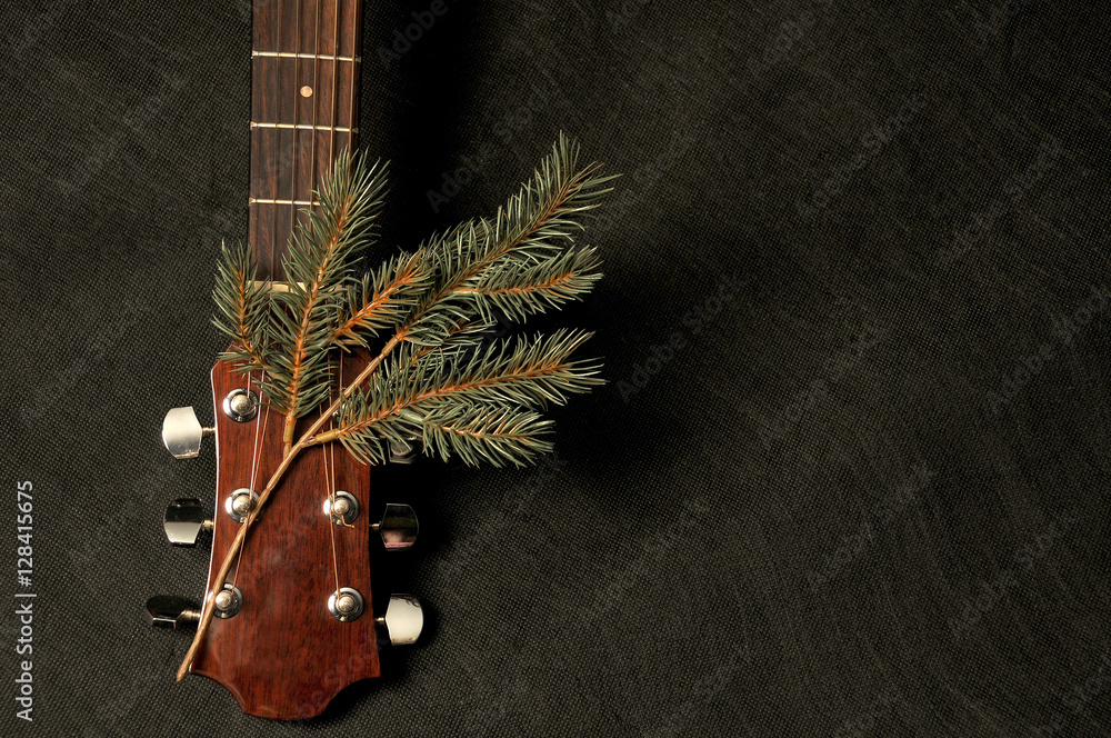 Guitar with twig