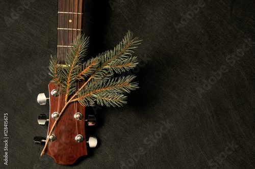 Obraz na płótnie Guitar with twig w salonie