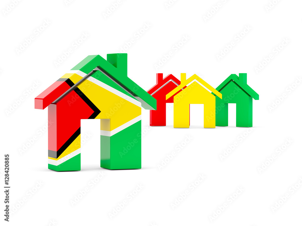 Flag of guyana, home icon Flag of guyana, home icon