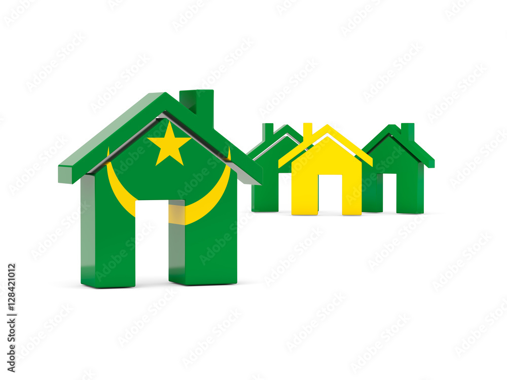 Flag of mauritania, home icon