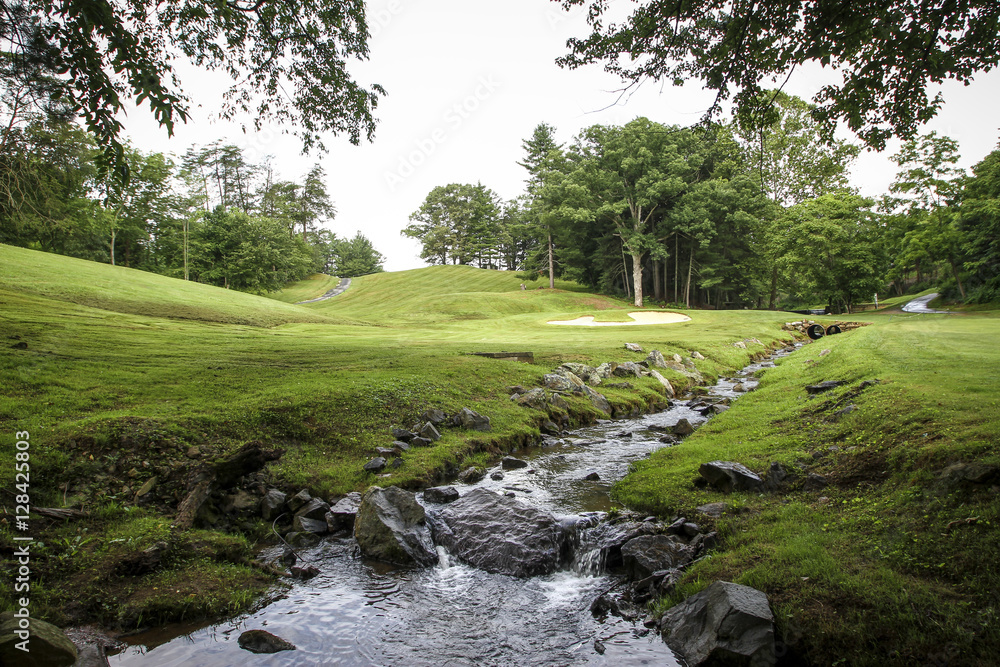 Obraz premium Photosquirrel-Photography_Ashville-NC_2013