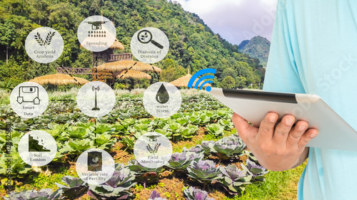 Precision Agriculture and Agritech concept. Sensor network in Agriculture technology network on framer using digital tablet to connect the sensor system against vegetable field background. photo
