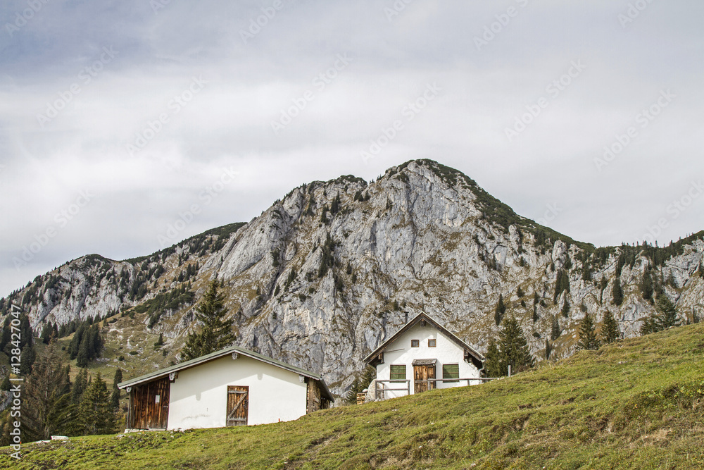 Vordere Scharnitzalm südlich der Benediktenwand Vordere Scharnitzalm südlich der Benediktenwand
