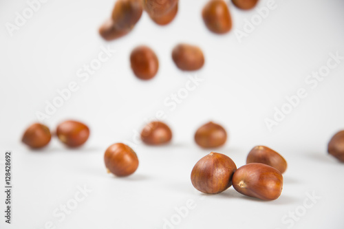 Close up of chestnut against white background.