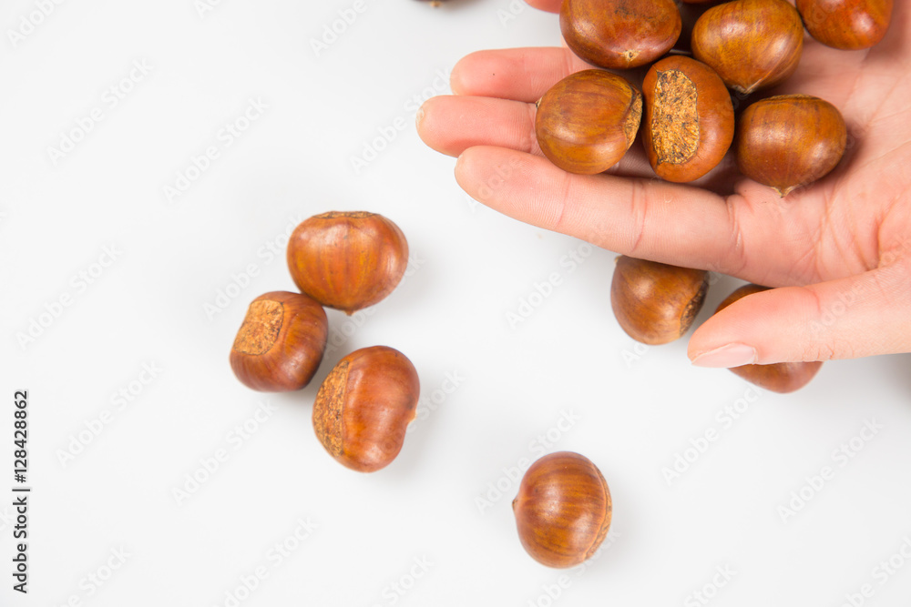 Close up of chestnut against white background. Close up of chestnut against white background.