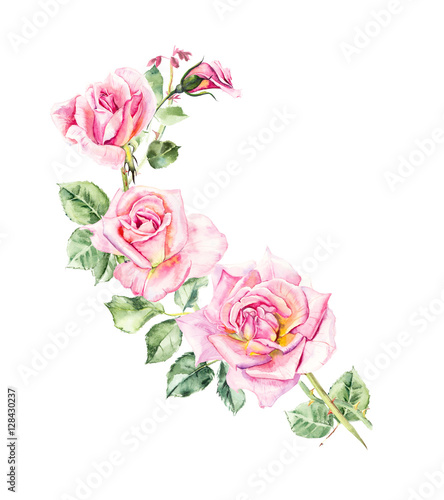 Rosebush. Pattern from pink rose. Wedding drawings. Watercolor painting. Greeting cards. Rose background  watercolor composition. Flower backdrop. 