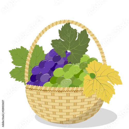 Basket with grapes