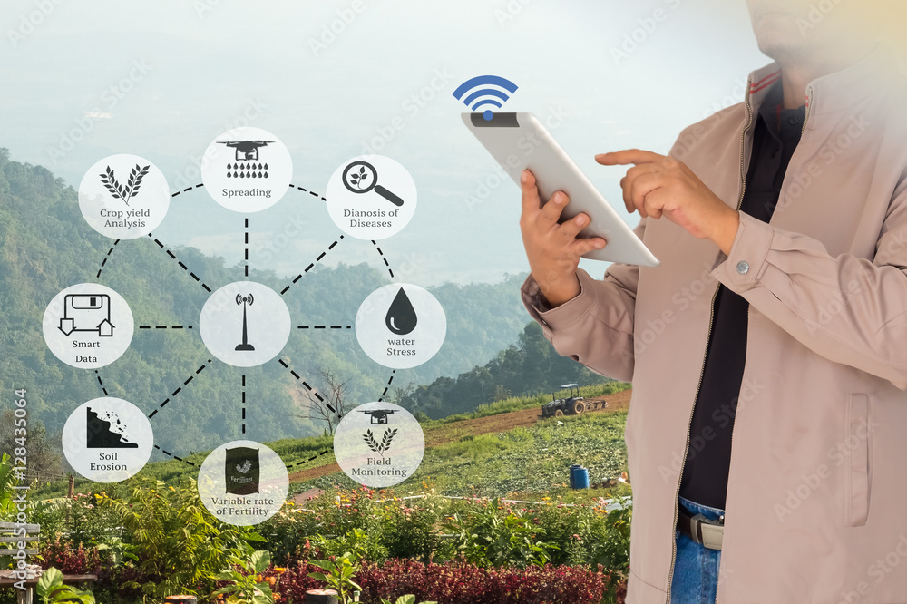 Precision Agriculture and Agritech concept. Sensor network in ...
