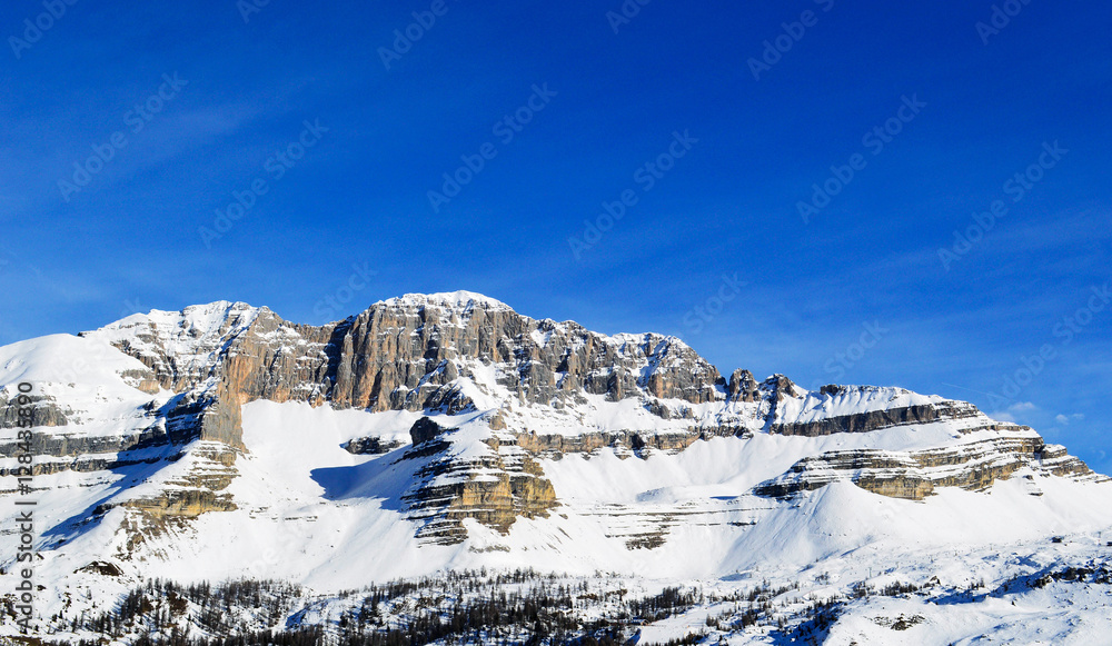 Dolomites Italy. Madonna di Campiglio the pearl of the Brenta Dolomites Trentino. Clear blue sky on the altitude over the 2500 metres covers mountain peaks on the winter day.