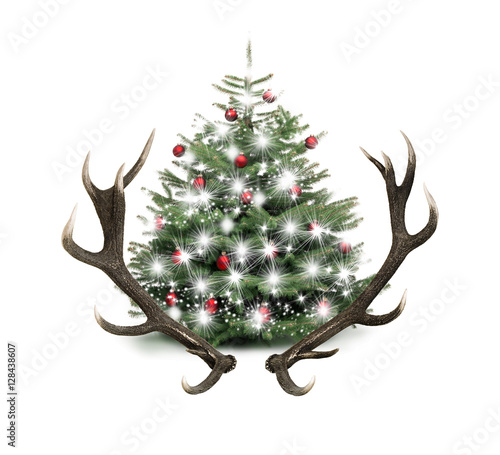 Tannenbaum mit Hirschgeweih