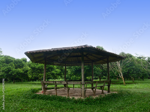 A pavilion in the forest or park with blue sky. © kaymotec