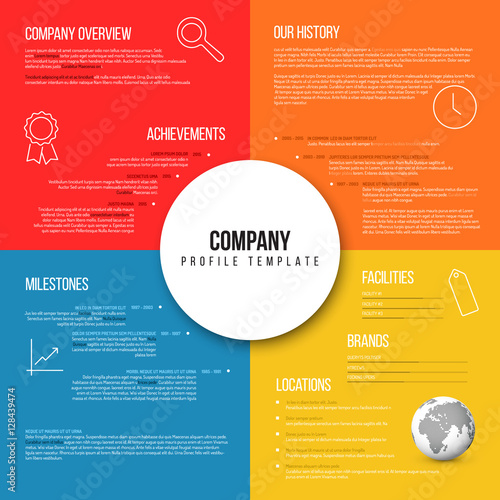 Vector Company infographic overview design template
