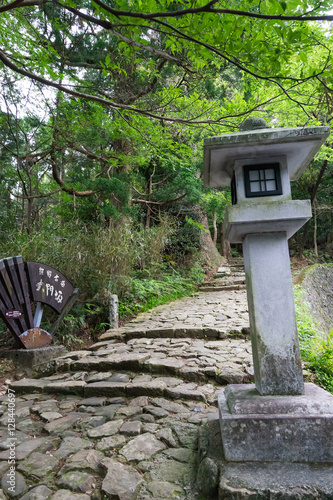 Daimon-zaka slope of Kumano Kodo (熊野古道 大門坂) photo