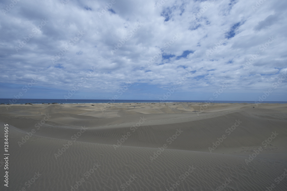 Fototapeta premium Desert