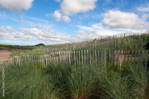 Picket fence used along with grass planting to help prevent wind and rain erosion of sand dunes. This is important in the preservation of natural wildlife habitat