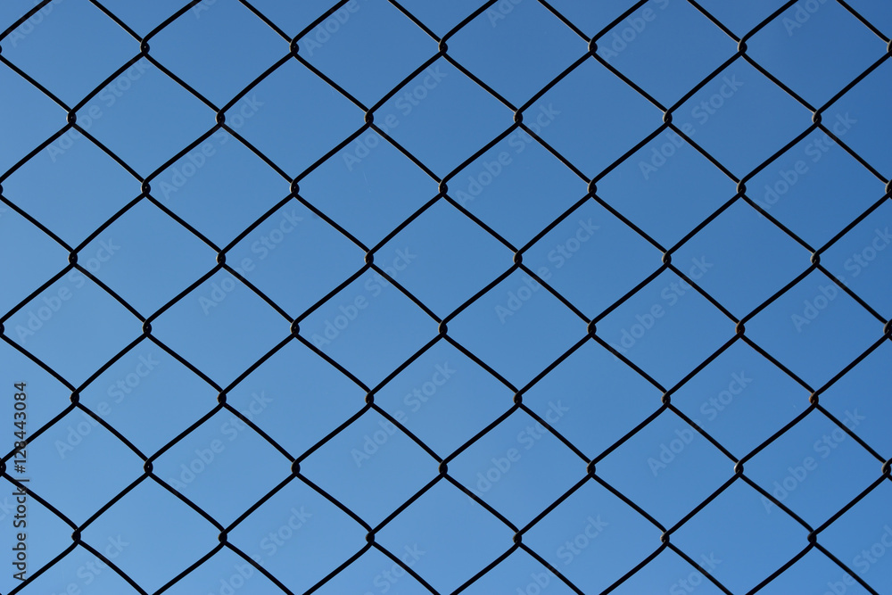 Fototapeta premium wire mesh steel with sky background